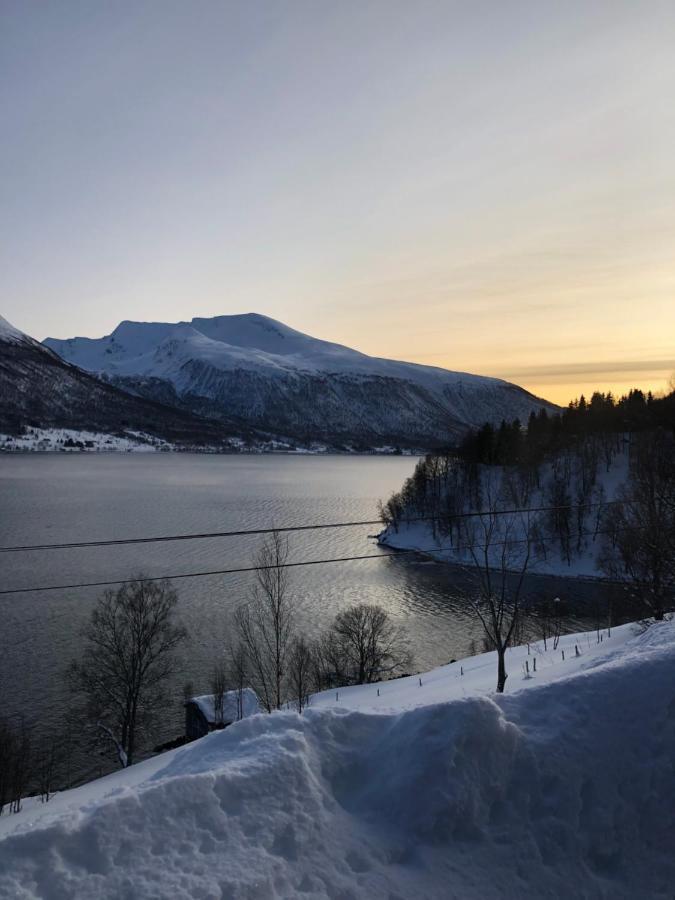 Hundbergan Apartment-Free Parking-15 Min From Tromso Tromsdalen Zewnętrze zdjęcie