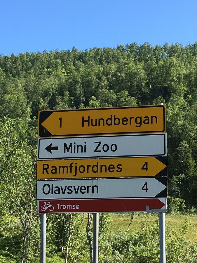 Hundbergan Apartment-Free Parking-15 Min From Tromso Tromsdalen Zewnętrze zdjęcie