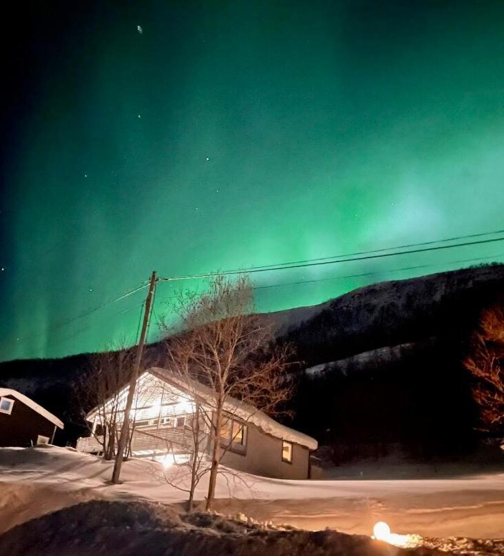 Hundbergan Apartment-Free Parking-15 Min From Tromso Tromsdalen Zewnętrze zdjęcie